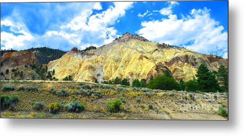 Wilderness Metal Print featuring the photograph Big Rock Candy Mountain - Utah by Donna Greene
