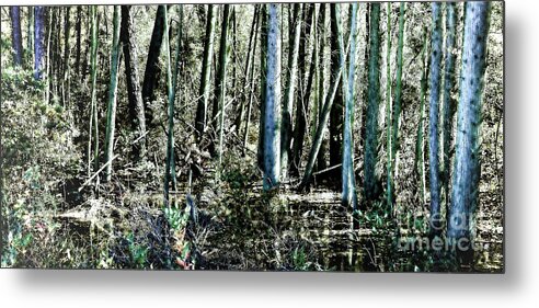 Mystery Metal Print featuring the photograph Mystery Forest by Olivier Le Queinec