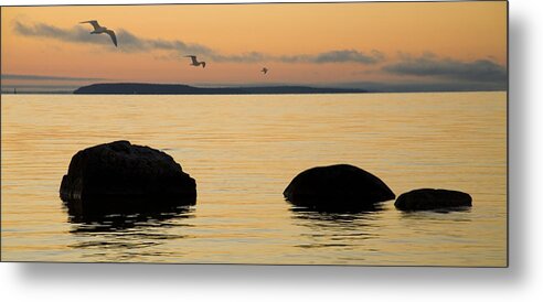 Sunrise Metal Print featuring the photograph Sunrise with Gulls at St. Ignace Michigan by Randall Nyhof