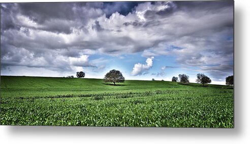 Green Fields Metal Print featuring the photograph The Tree Of Knowledge by Meir Ezrachi