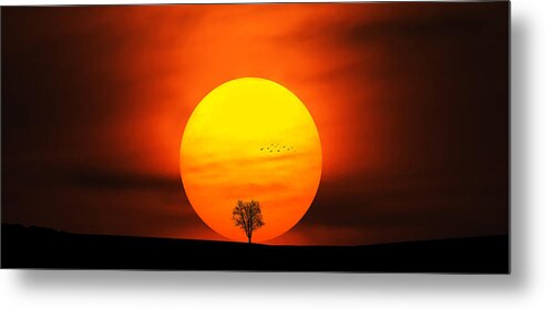 Autumn Metal Print featuring the photograph Sunset #1 by Bess Hamiti