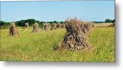 Amish Metal Print featuring the photograph Amish Harvest by Cricket Hackmann