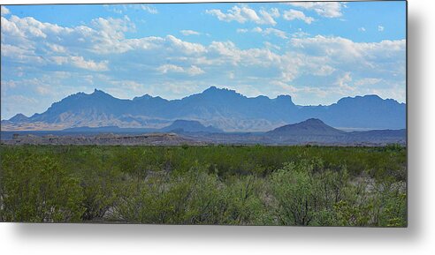 Landscape Metal Print featuring the photograph Chisos Mountains by Alan Lenk
