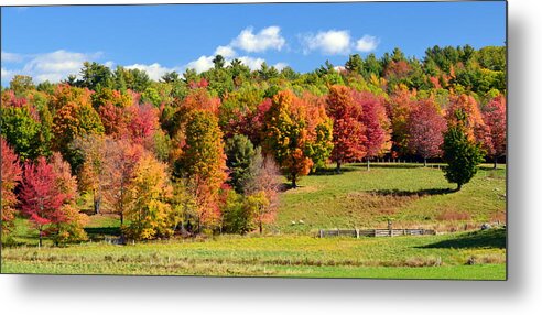 Fall Metal Print featuring the photograph New Hampshire Foliage by Colleen Phaedra