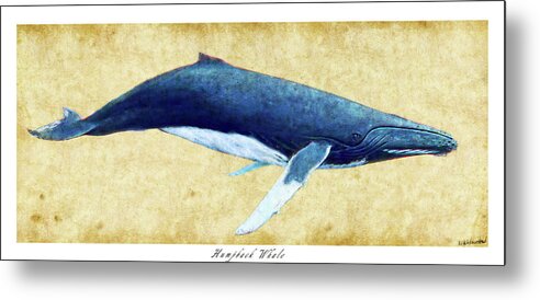 Humpback Metal Print featuring the photograph Humpback Whale painting - framed by Weston Westmoreland