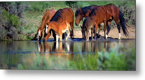 Wild Horses Metal Print featuring the photograph Nature's Reflections by Jeanne Bencich-Nations