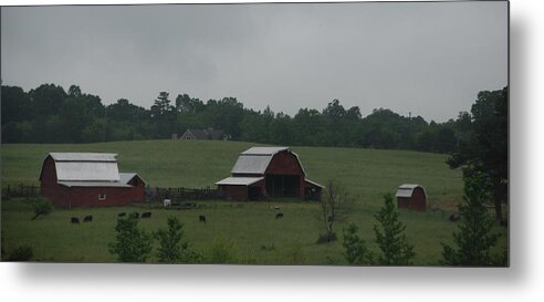 Barn Metal Print featuring the photograph Place Called Home by Renee Holder