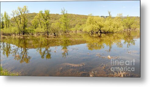 Photography Metal Print featuring the photograph Reflections of Spring by Larry Ricker
