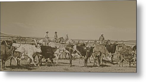 Cowboys Metal Print featuring the photograph Rockwell Moments by Amanda Smith