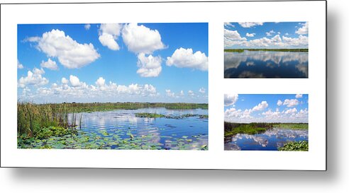 Art Metal Print featuring the photograph Skyscape Reflections Blue Cypress Marsh Collage 2 by Ricardos Creations