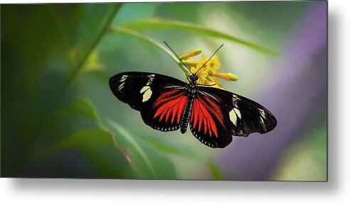 Butterfly Metal Print featuring the photograph Butterfly, Stop and Smell the Flowers by Cindy Lark Hartman