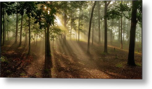 Home Metal Print featuring the photograph Sun and Clouds by Norman Peay