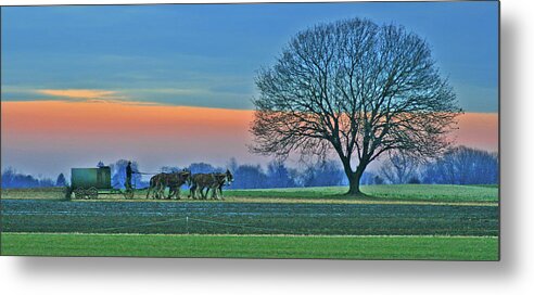 Fields Metal Print featuring the photograph Through The Fields by Scott Mahon