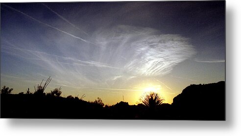 Arizona Metal Print featuring the photograph Yucca Sunset by Randy Oberg