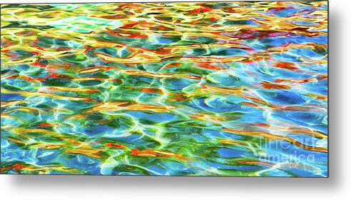 Albert Metal Print featuring the photograph A Feast of Colours by Marilyn Cornwell