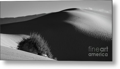 White Sands National Monument Metal Print featuring the photograph Dunes Of White Sands by Doug Sturgess