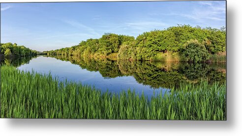 Percy Illinois Metal Print featuring the photograph Green reflections by Chris Spencer