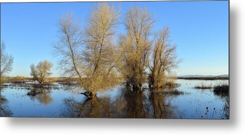 Wetlands Metal Print featuring the photograph Wetland Story by Alan C Wade