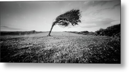 Pinhole Metal Print featuring the photograph Standing the test of time #1 by Will Gudgeon