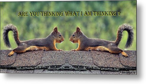 Squirrels Metal Print featuring the photograph Are You Thinking What I Am Thinking by Ben Upham III