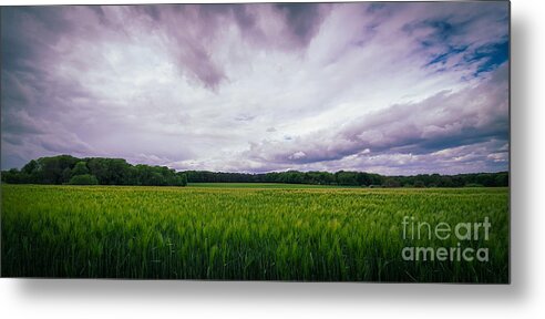 Barley Metal Print featuring the photograph Beautiful landscape with green barley field and cloudy sky in the surroundings of Bonn by Mendelex Photography