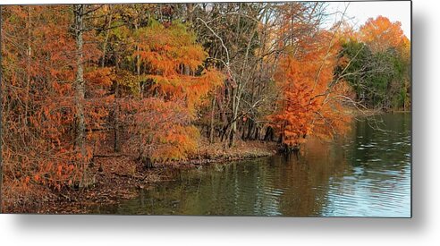 Fall Metal Print featuring the photograph Bledsoe Creek State Park by Ally White