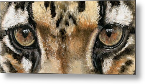 Panthera Metal Print featuring the painting Clouded Leopard Gaze by Barbara Keith