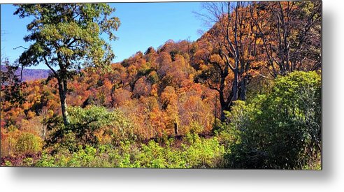 Appalachia Metal Print featuring the photograph Colorful Hills by Ally White