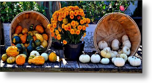 Gourds Metal Print featuring the photograph Gourds and Marigolds by Tara Potts