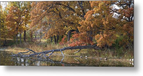 Autumn Metal Print featuring the photograph Red Oaks on the Shore by Lynn Hansen