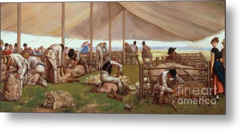 The Metal Print featuring the painting The Sheep Shearing Match by Eyre Crowe