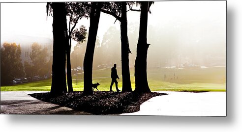 Walking The Dog Metal Print featuring the photograph Foggy Day to walk the dog by Harry Neelam