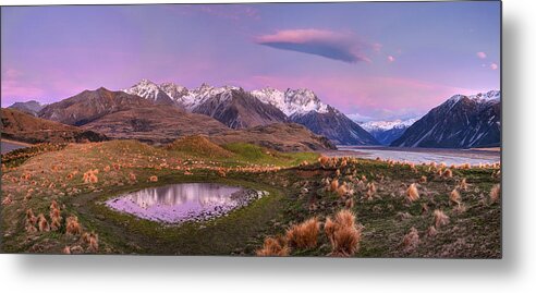 00486210 Metal Print featuring the photograph Sheep And Pond In Predawn Alpenglow by Colin Monteath