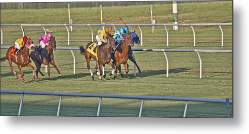 Horse Metal Print featuring the photograph Trying by Betsy Knapp