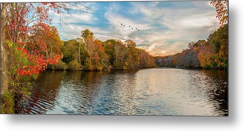 Park Metal Print featuring the photograph Trout Pond by Cathy Kovarik