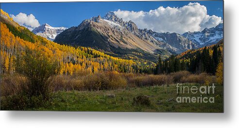 Nature Metal Print featuring the photograph Colorado Fall by Steven Reed
