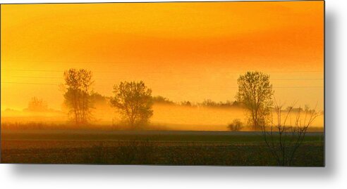 Morning Fog Metal Print featuring the photograph Morning sunshine by Julie Lueders 