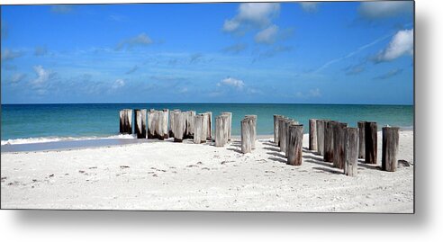 Paradise Metal Print featuring the photograph Pillar to Post by Sean Allen