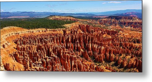 Nature Metal Print featuring the photograph The Amphitheater at Bryce Canyon by Bruce Bley