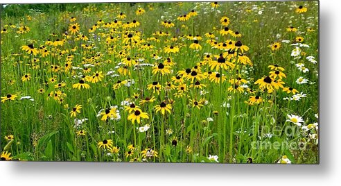 Sea Metal Print featuring the photograph Meadow Flowers 1 by Michael Graham