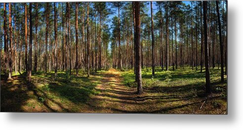 Road Metal Print featuring the photograph Road Through The Mazovian Woods by Owen Weber