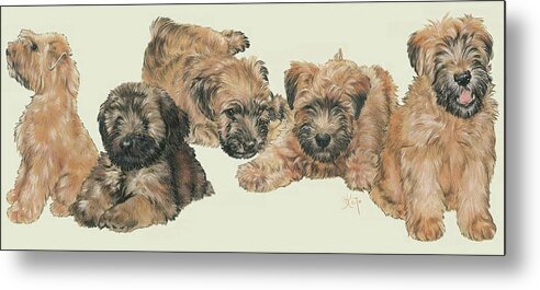 Terrier Group Metal Print featuring the mixed media Soft-coated Wheaten Terrier Puppies by Barbara Keith