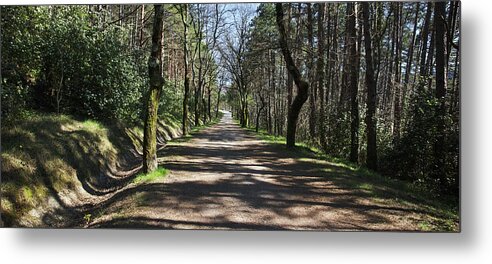 A Wild Ride Metal Print featuring the photograph A long way ... by Karine GADRE