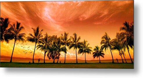 Landscape Metal Print featuring the photograph Coconut Grove by Holly Kempe