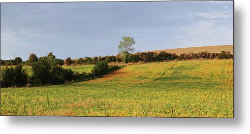 Landscape Metal Print featuring the photograph The space curvature by Karine GADRE