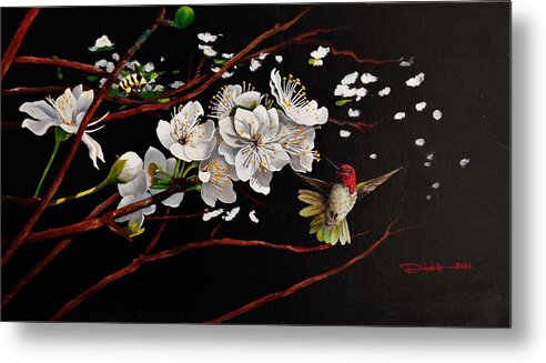 Birds Metal Print featuring the painting Plum blossoms and Anna's hummingbird by Dana Newman