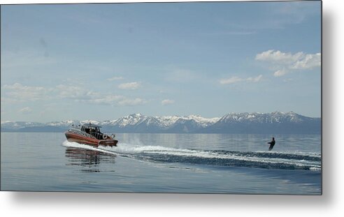 Snow Metal Print featuring the photograph Snow Bird Valentine Special by Steven Lapkin