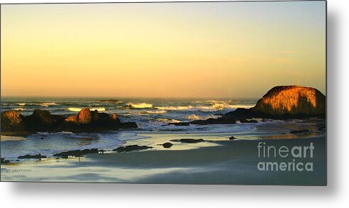 Oregon Coast Metal Print featuring the photograph Seal Rock #1 by Loni Collins