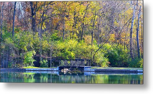 Scenery Metal Print featuring the photograph Sequiota Park by Deena Stoddard