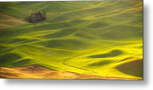 Faa_export Metal Print featuring the photograph Amidst the waves by Kunal Mehra